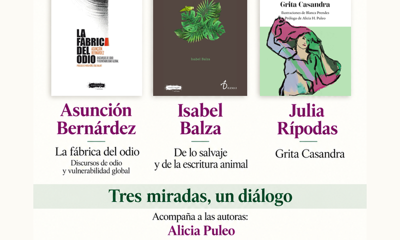 Imagen de la actividad