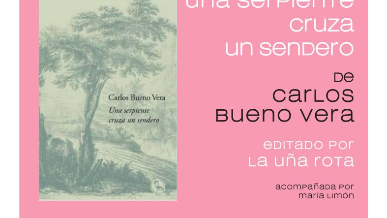 7 nov carlos bueno vera
