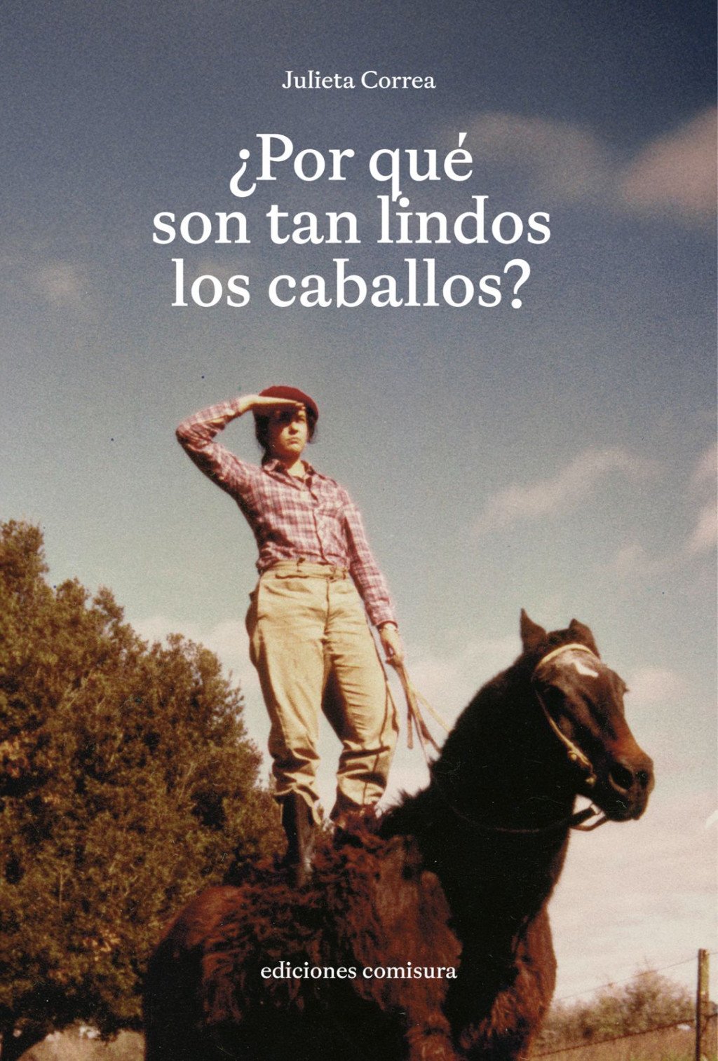 ¿Por qué son tan lindos los caballos?