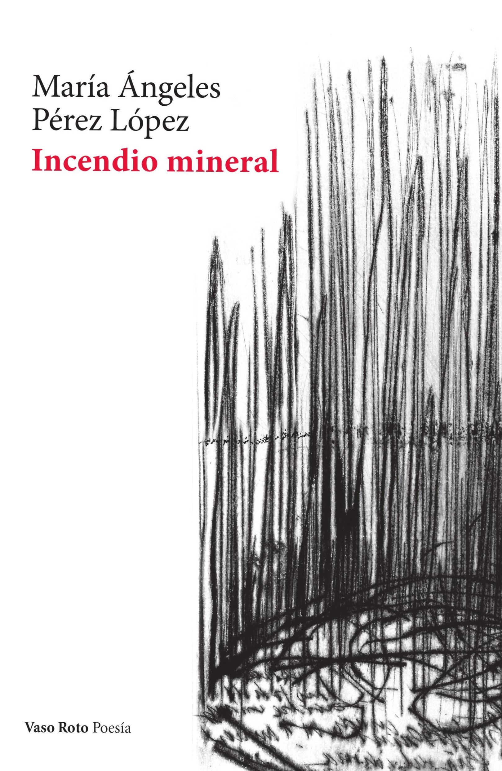 Incendio mineral