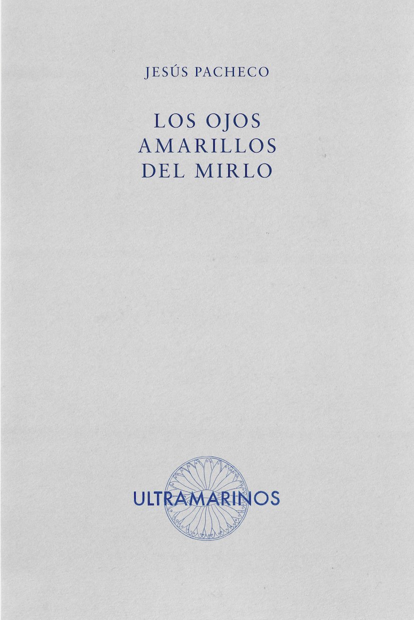 Los ojos amarillos del mirlo