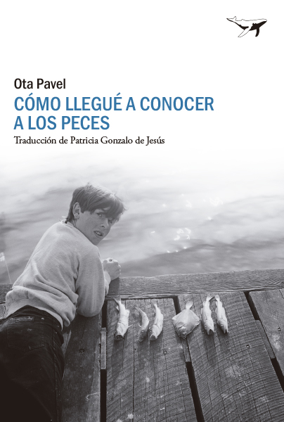 Como llegué a conocer a los peces