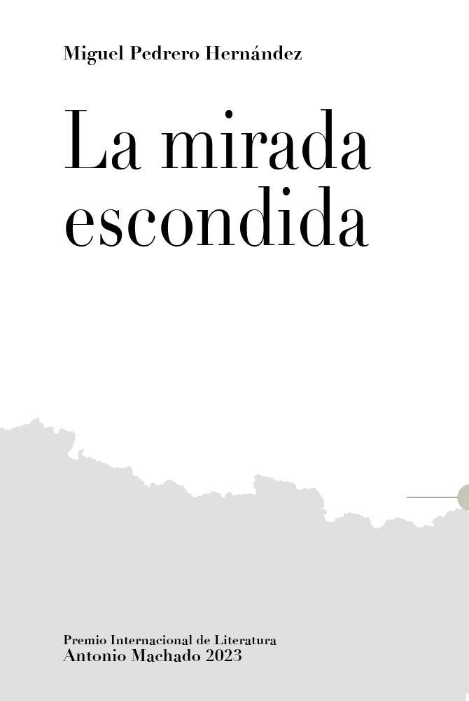 La mirada escondida