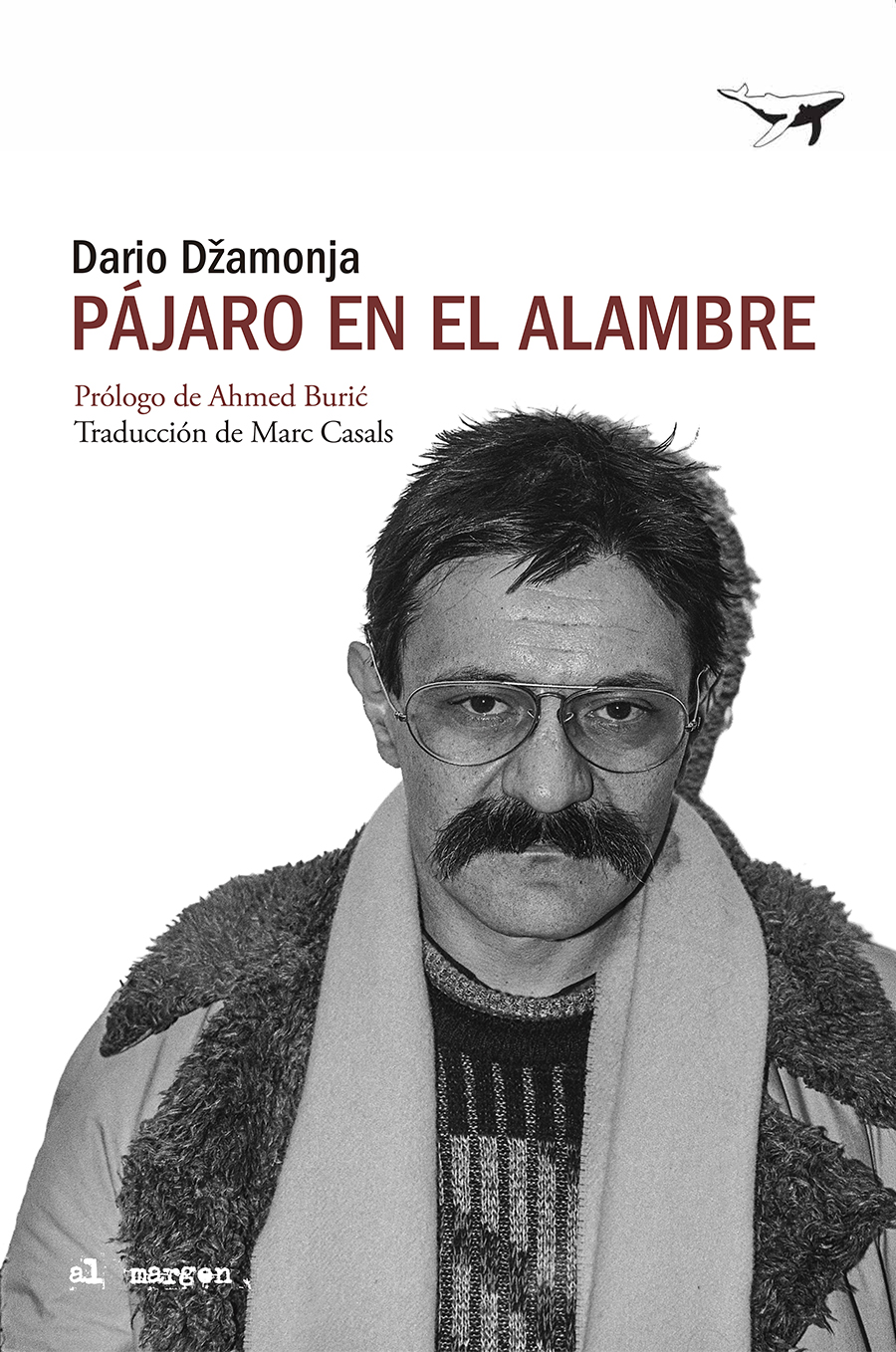 Pájaro en el alambre