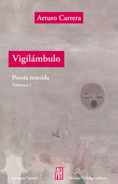 Vigilámbulo