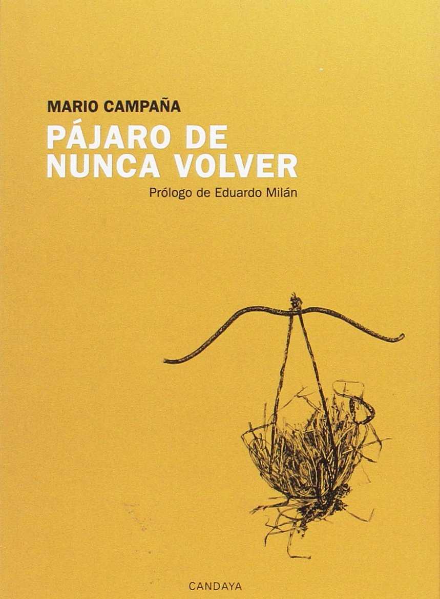 Pájaro de nunca volver