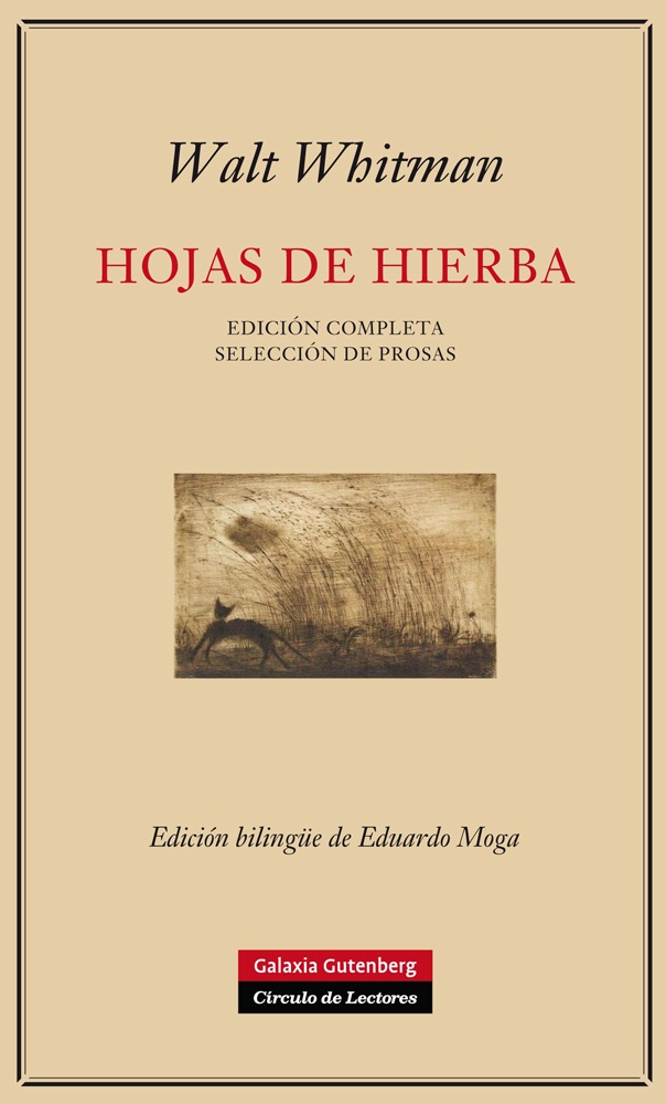 Hojas de hierba