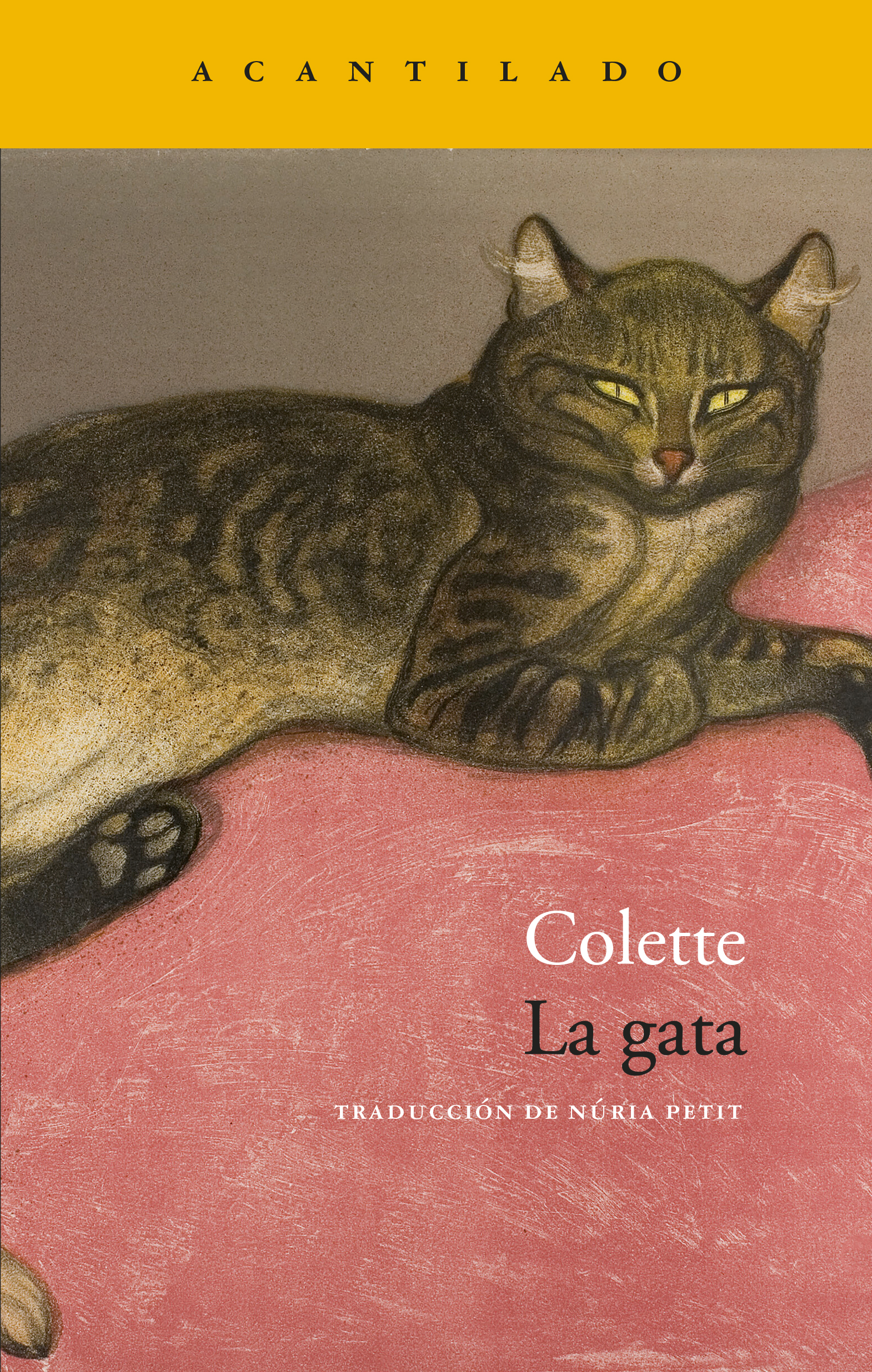 La gata