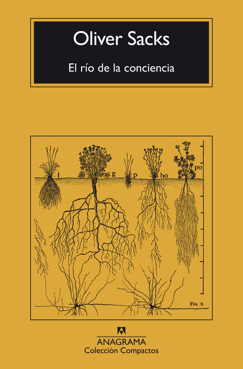 EL RÍO DE LA CONCIENCIA