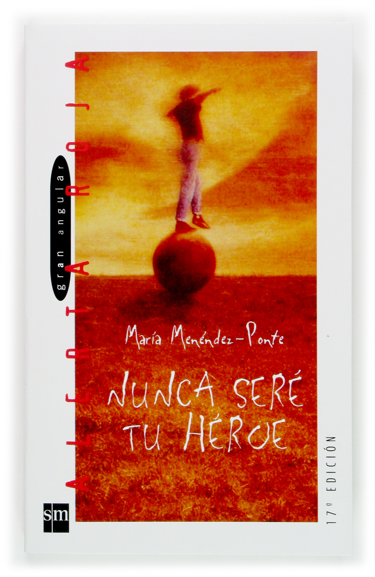 Nunca seré tu héroe