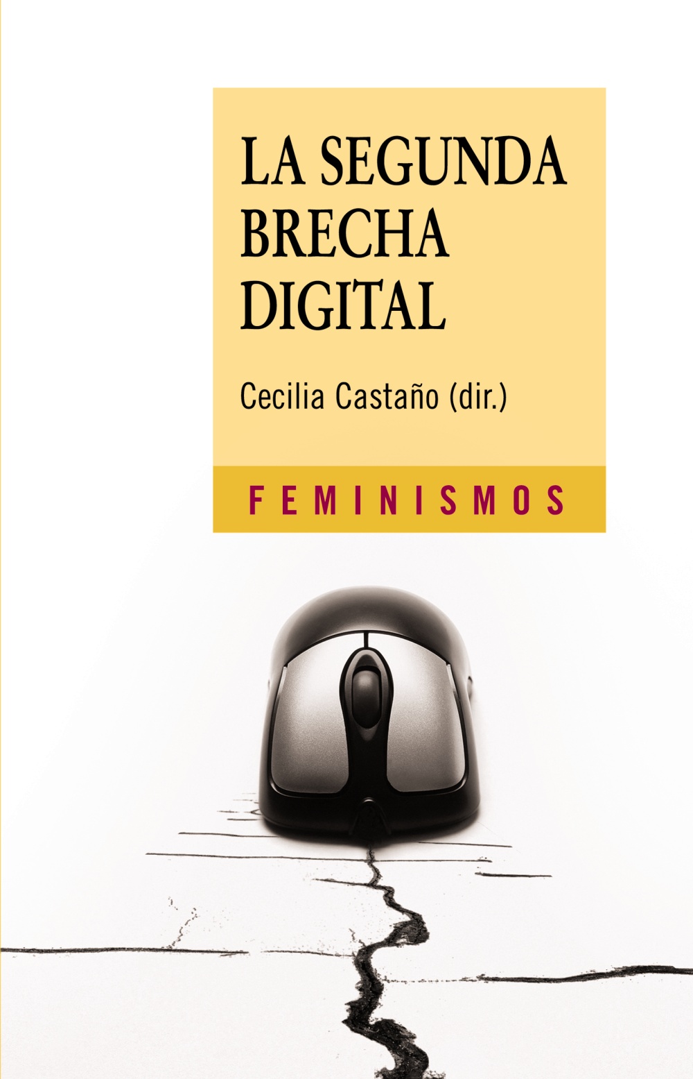 La segunda brecha digital