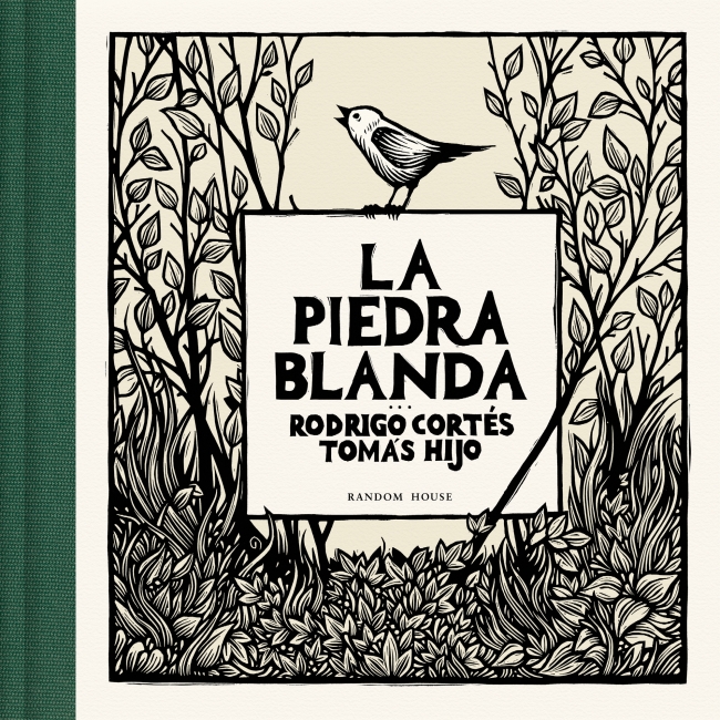 La piedra blanda