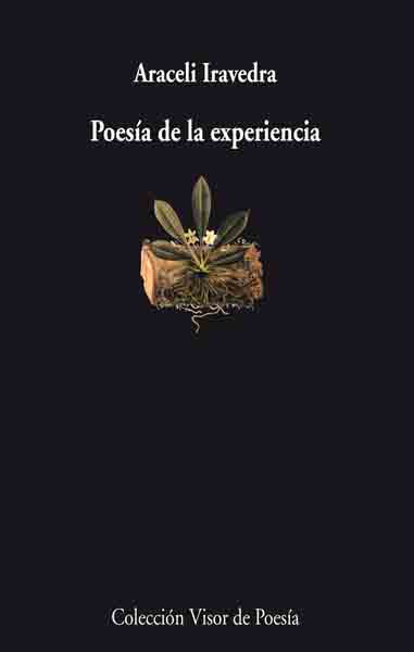 Poesía de la experiencia