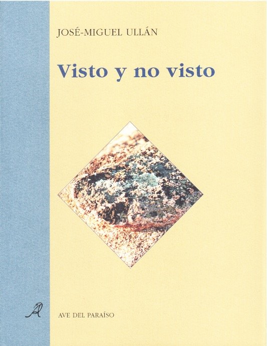 Visto y no visto