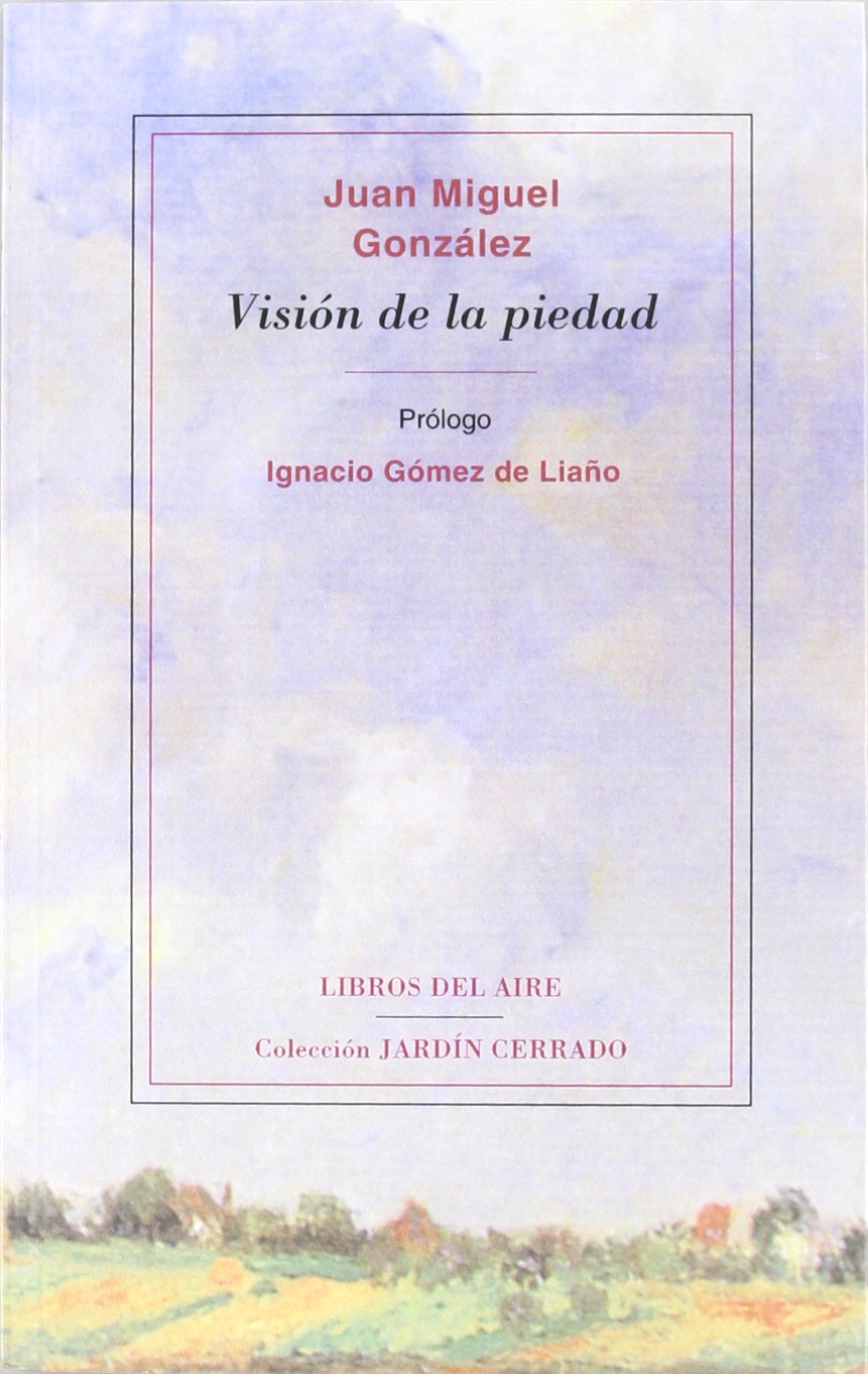 VISION DE LA PIEDAD