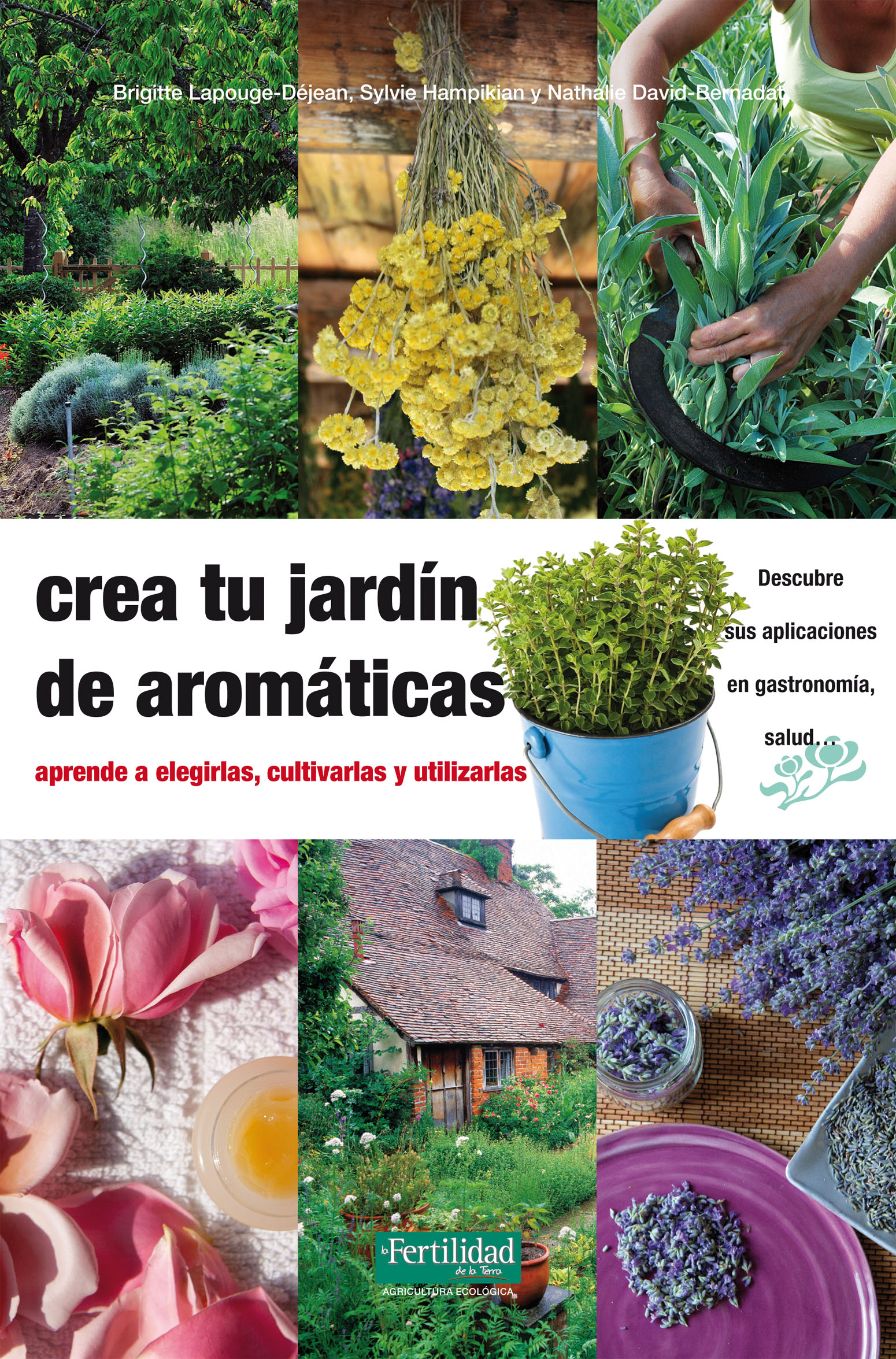 Crea tu jardín de aromáticas