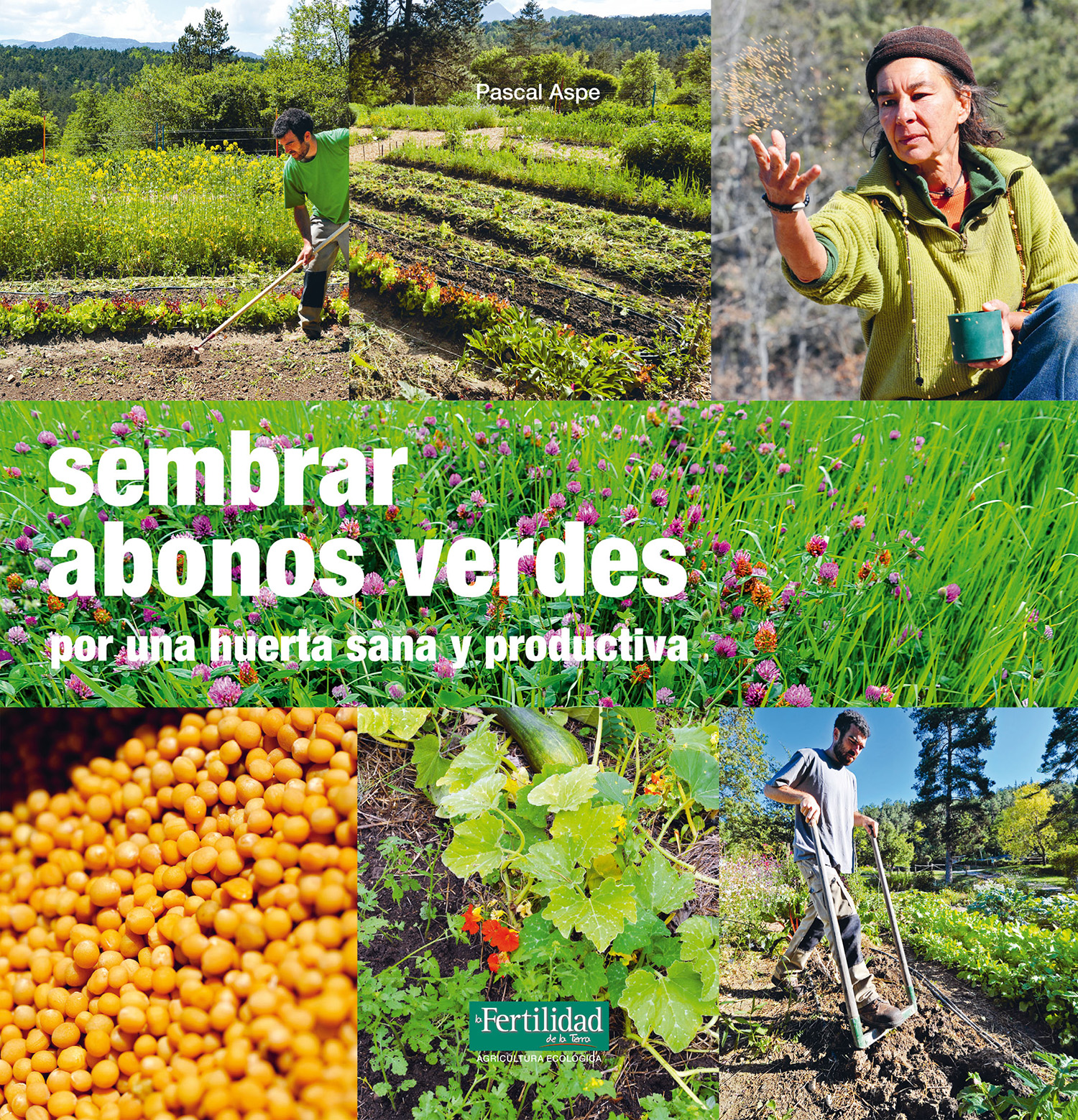 Sembrar abonos verdes