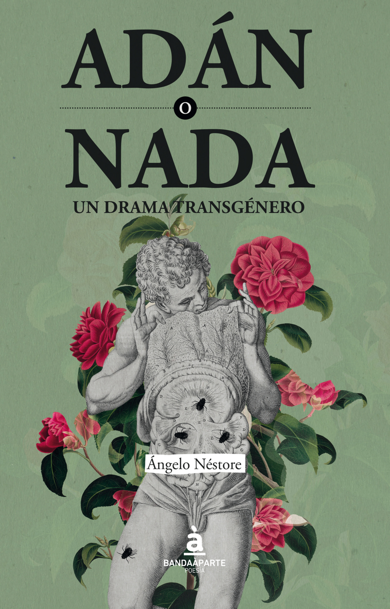 Adán o nada