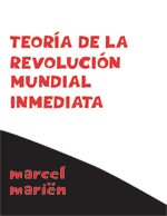 Teoría de la revolución mundial inmediata