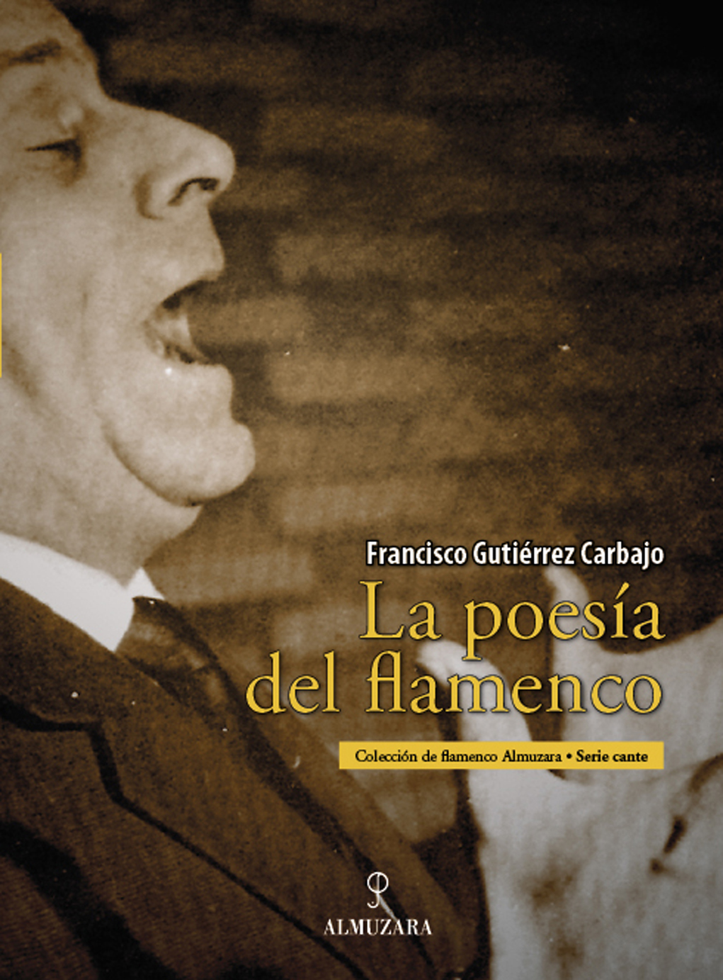 La poesía del flamenco