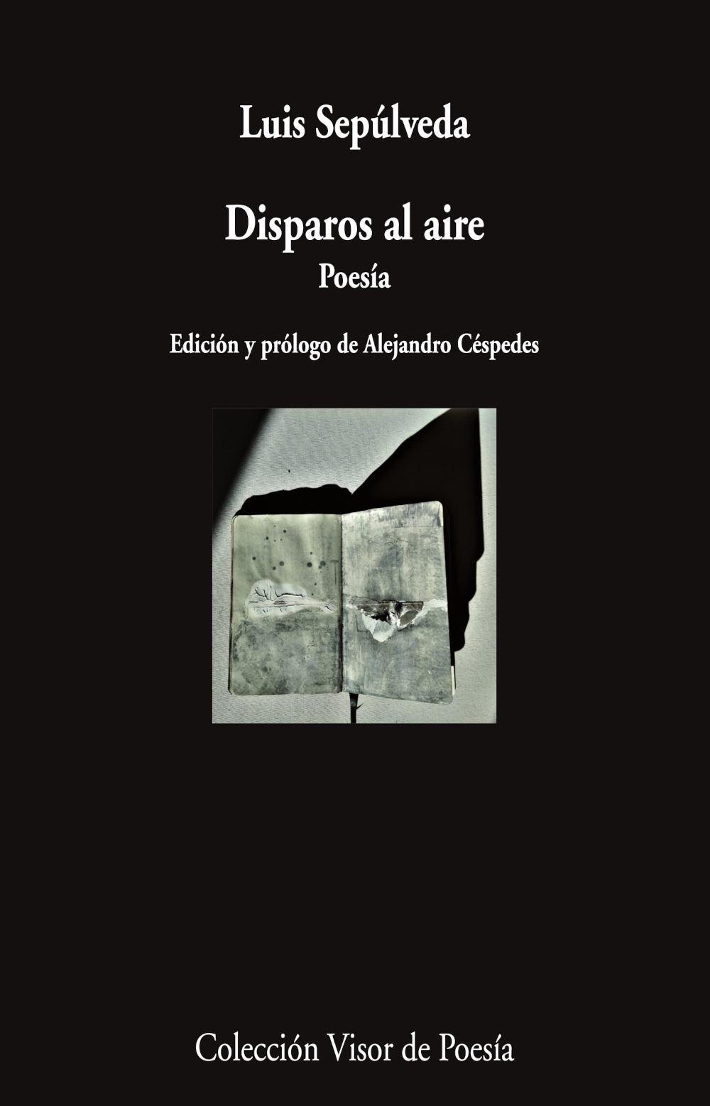 Disparos al aire