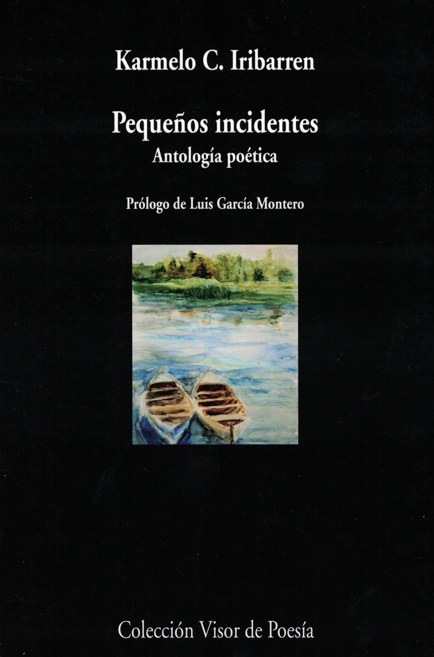 Pequeños incidentes. Antología poética