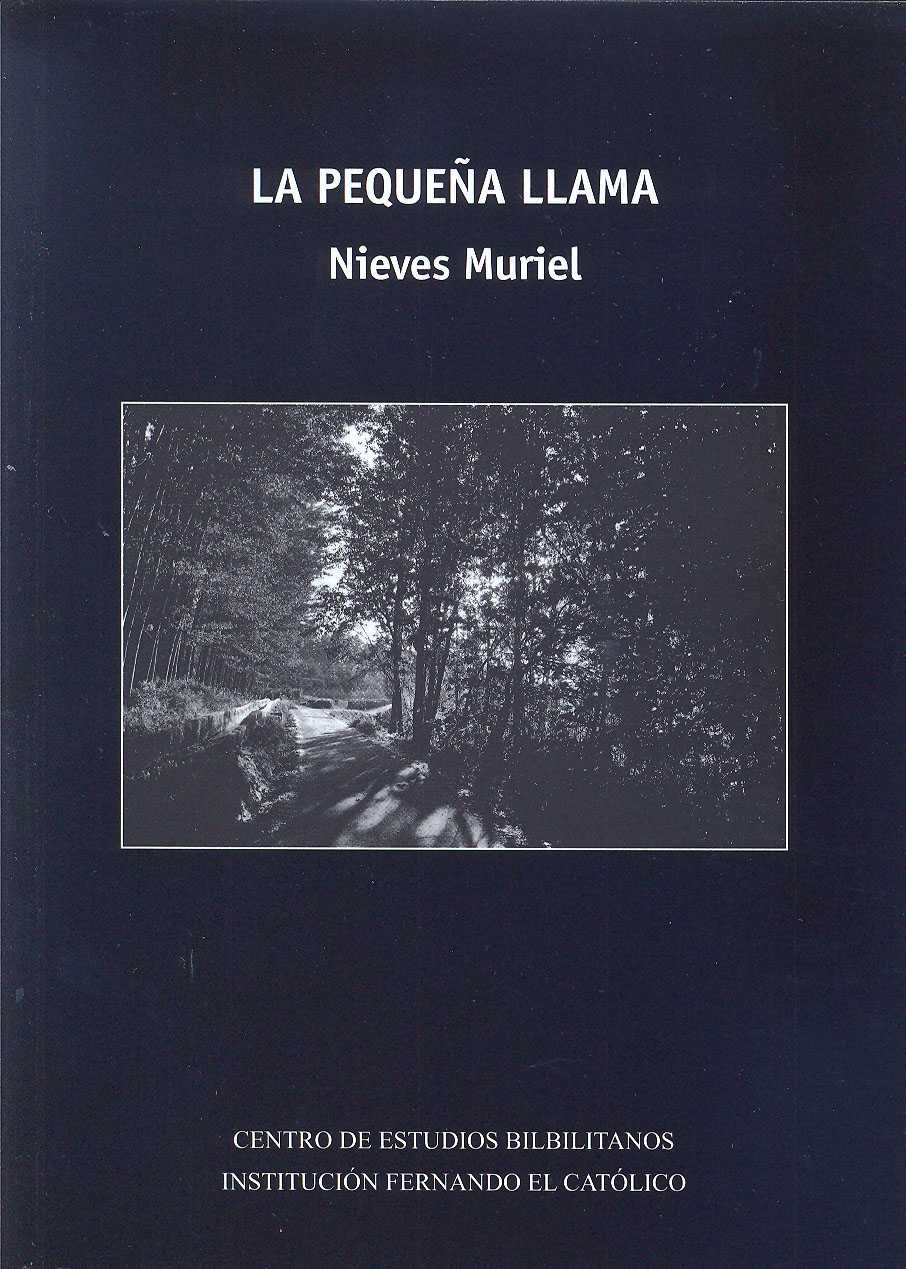 La pequeña llama