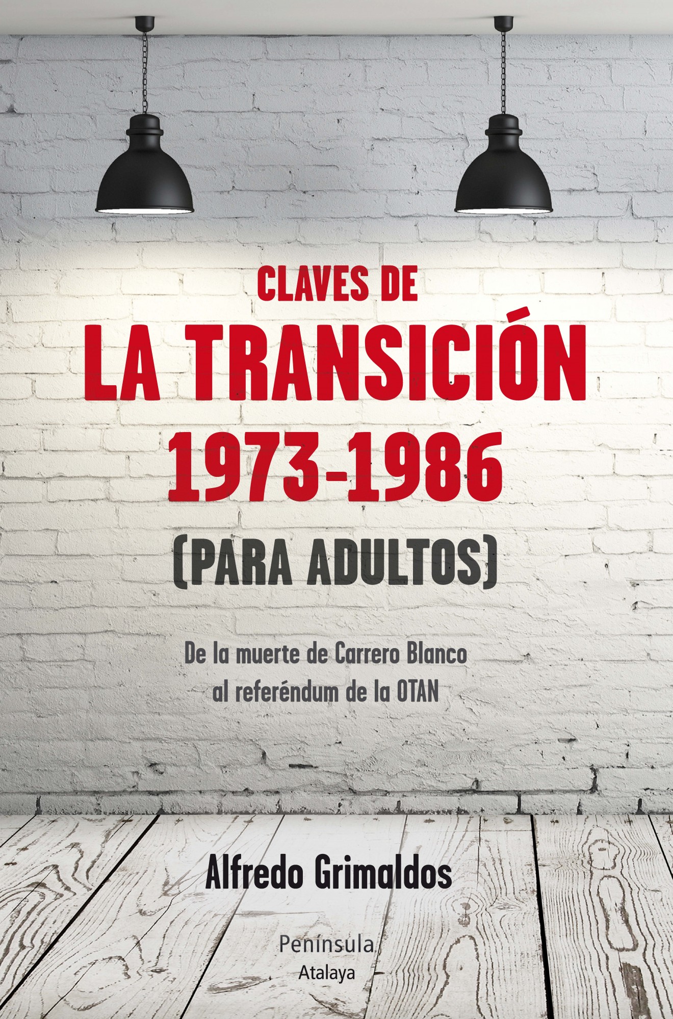 Claves de la transición 1973-1986 (Para adultos)