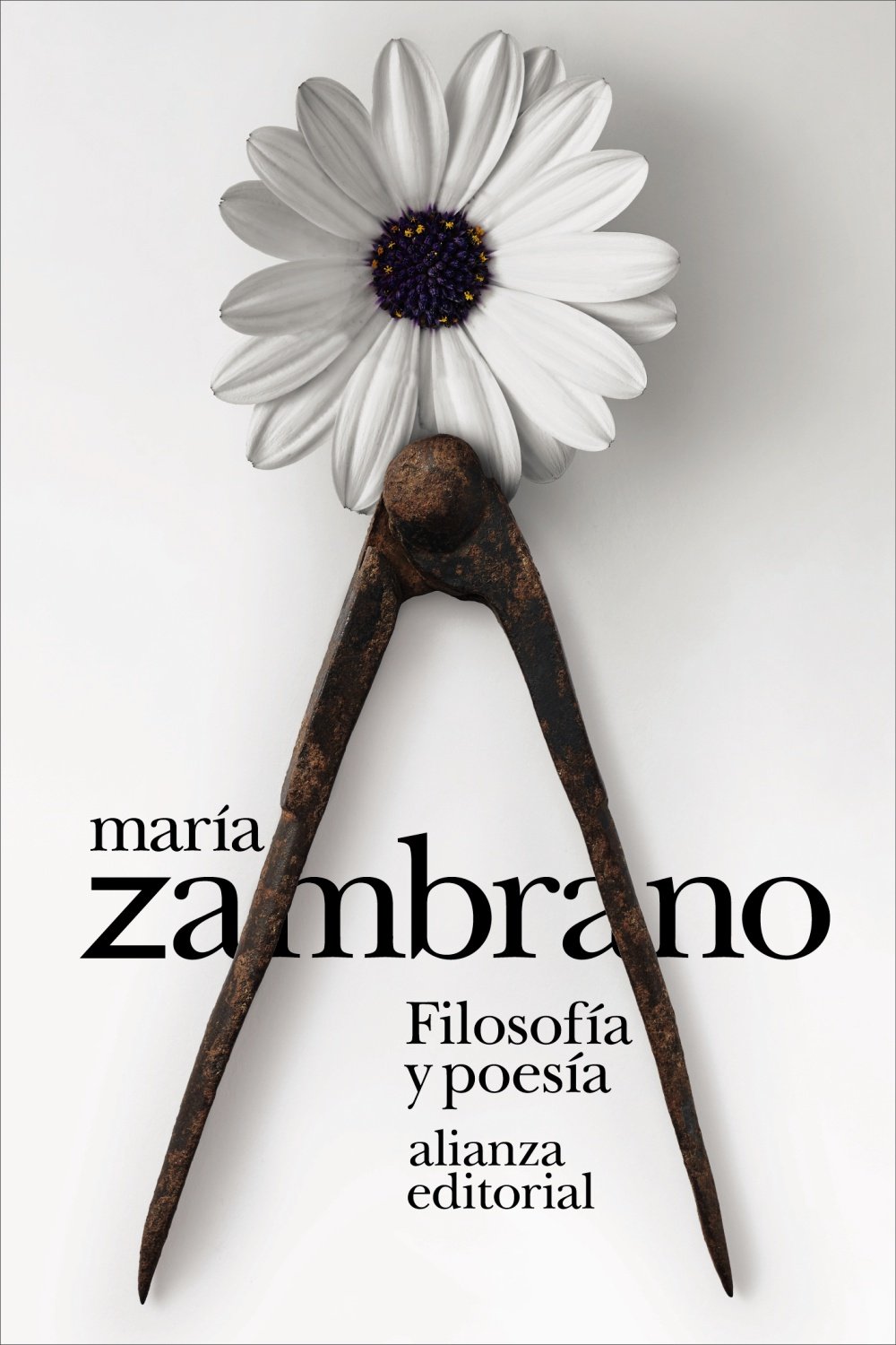 Filosofía y poesía
