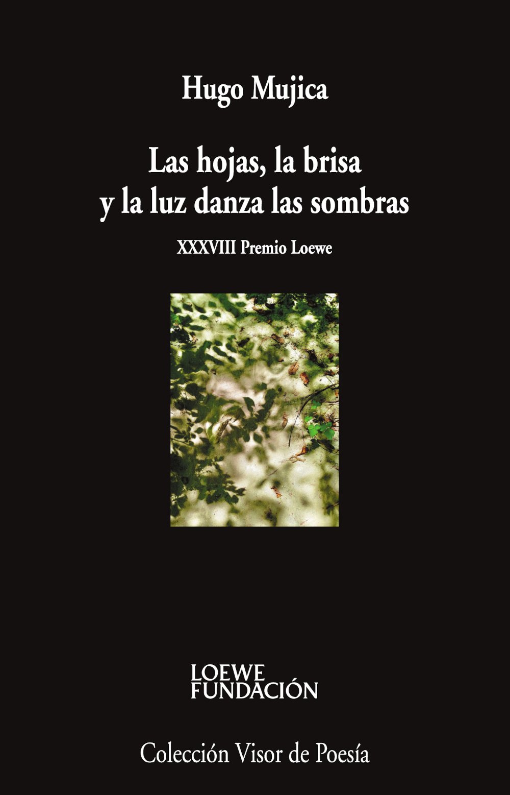 Las hojas, la brisa y la luz danza las sombras