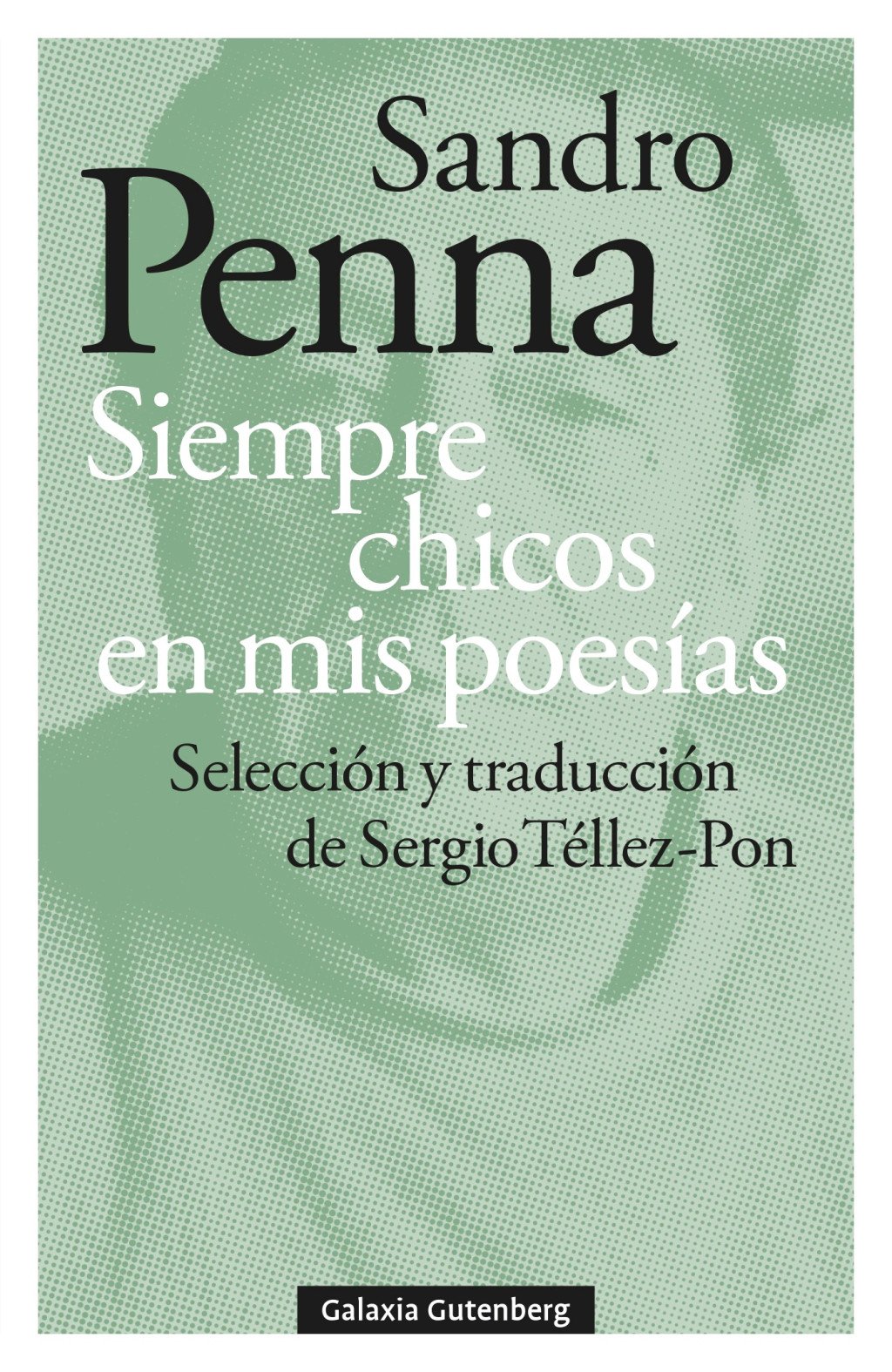 Siempre chicos en mis poesías