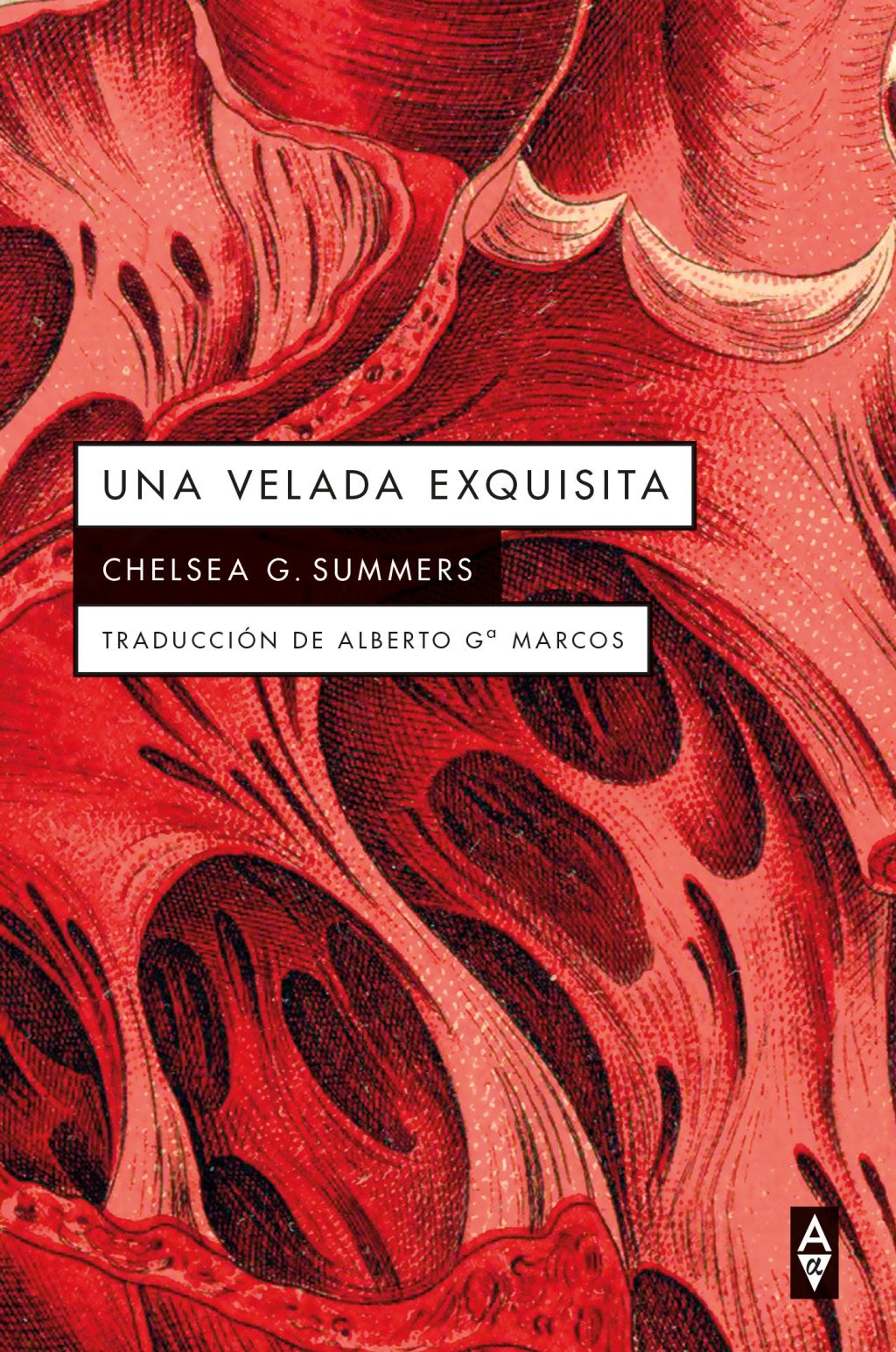 UNA VELADA EXQUISITA